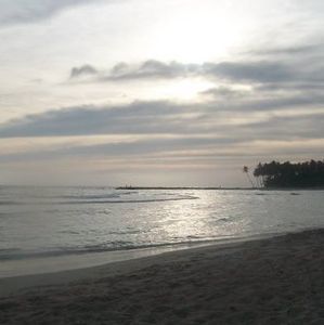 Meet your Posher, Martin